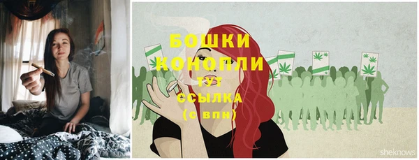 гидропоника Белоозёрский