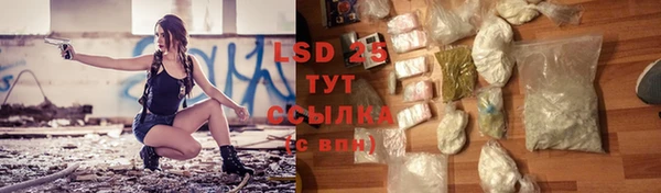 ПСИЛОЦИБИНОВЫЕ ГРИБЫ Белокуриха