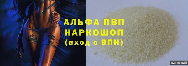 стаф Инсар