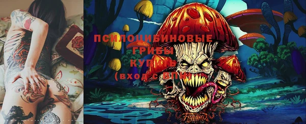 ПСИЛОЦИБИНОВЫЕ ГРИБЫ Белокуриха