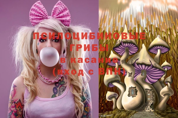 ПСИЛОЦИБИНОВЫЕ ГРИБЫ Белокуриха