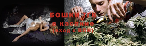 ПСИЛОЦИБИНОВЫЕ ГРИБЫ Белокуриха