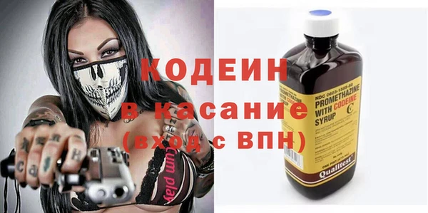 сатива Иннополис