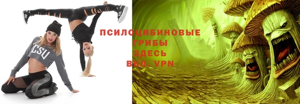 гидропоника Белоозёрский