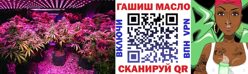 купить наркоту  даркнет наркотические препараты  ТГК Wax  Макаров  ссылка на мегу онион 